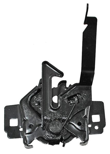[4L1Z16700AA] CHAPA COFRE FORD EXPEDITION 03-06