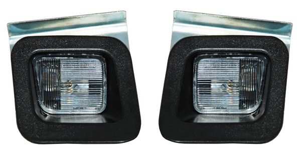 LUZ DE PLACA DODGE PU 12-18 RAM 1500/ 15-18 RAM 2500/ 16-18 RAM 3500 ECOCN JGO LH/RH TW