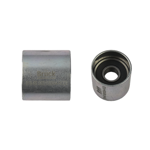 [06B109244-RODI] TENSOR DISTRIBUCION VOLKSWAGEN AUDI SEAT JETTA IV 99-15 - GOLF IV 99-07 / SOLO EL RODILLO BRUCK