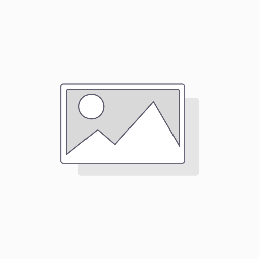 [LOFORTACERIGR] TAPON DE CENTRO RIN FORD LOBO GRIS ( TL-001)