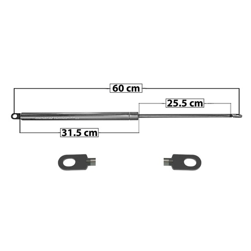 [8874MAN] AMORTIGUADOR 5TA PUERTA DODGE CARAVAN 84-90/ CHRYSLER VOYAGER 84-90/ 60 31.5 25.5 ENTRADA TIPO 2 ENTRADA 2 TIPO 2 665 149.5 67.81 725 168.99 76.65 SPART 6053 TUR